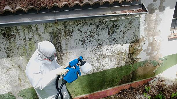 Top rated local Mold Remediation specialists in White Marsh, MD